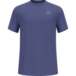 Odlo Herren Raincloud Merino 160 T-Shirt
