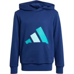 adidas Kinder Essentials Hoodie