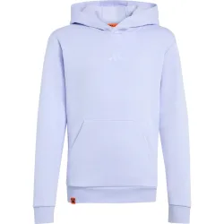adidas Terrex Kinder Minecraft Mt Hoodie