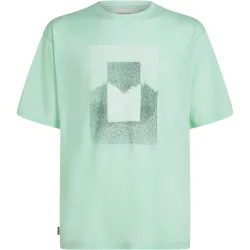 Icebreaker Herren 150 Tech Lite Mountain Shift T-Shirt