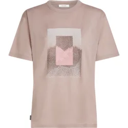 Icebreaker Damen 150 Tech Lite Mountain Shift T-Shirt