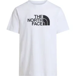The North Face Herren Evolution Half Dome T-Shirt