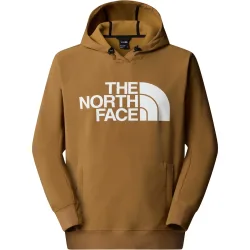 The North Face Herren Tekno Logo Hoodie
