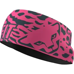 Dynafit Graphic Performance Stirnband