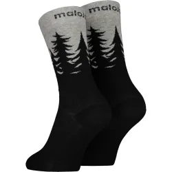 Maloja LabanM. Socken