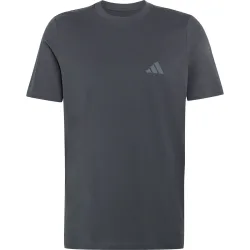 adidas Terrex Herren Mountain Graphic T-Shirt