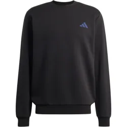 adidas Terrex Herren Snow Sport Graphic Pullover