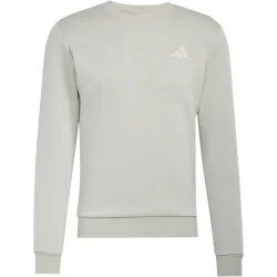 adidas Terrex Herren Snow Sport Graphic Pullover