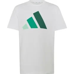 adidas Kinder Essentials 160 T-Shirt