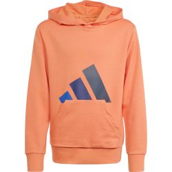 adidas Kinder Essentials Hoodie