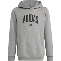 adidas Kinder Collegiate Graphic Hoodie