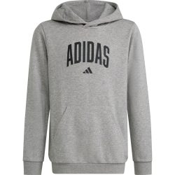 adidas Kinder Collegiate Graphic Hoodie