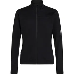 Icebreaker Herren 300 RealFleece Descender Jacke