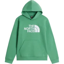The North Face Kinder Teen Essential Drew Peak Hoodie