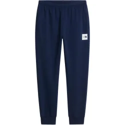 The North Face Herren Evo Box Half Dome Jogger Hose