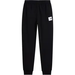 The North Face Herren Evo Box Half Dome Jogger Hose