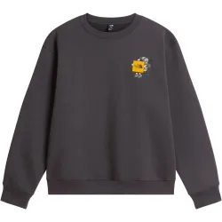 The North Face Herren Gear Up Get Out Crew Graphic Pullover
