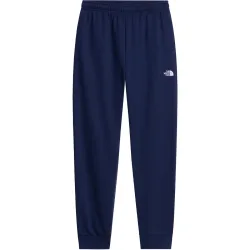 The North Face Herren Evolution Simple Dome Jogger Hose