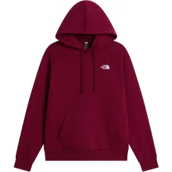 The North Face Damen Evolution Simple Dome Hoodie