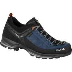 Salewa Herren MTN Trainer 2 GTX Schuhe