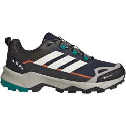 adidas Terrex Herren Skychaser AX5 GTX Schuhe