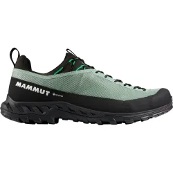 Mammut Herren Alnasca IV Low GTX Schuhe