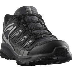 Salomon Herren Extegra GTX Schuhe