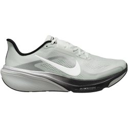 Nike Herren Air Zoom Pegasus 42 RR Schuhe