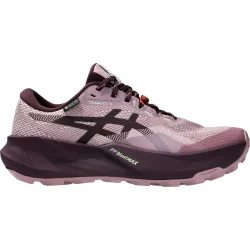 Asics Damen Trabuco 14 GTX Schuhe