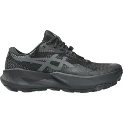 Asics Damen Trabuco 14 GTX Schuhe