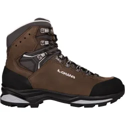 Lowa Herren Camino Evo LL Schuhe