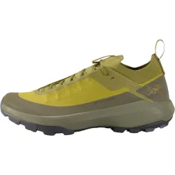 Arc'teryx Herren Vertex Alpine GTX Schuhe