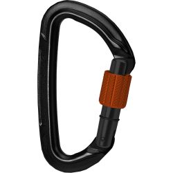 Wild Country Session Screw Karabiner