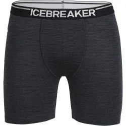 Icebreaker Herren Anatomica Long Boxer