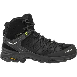 Salewa Herren Alp Trainer 2 Mid GTX Schuhe