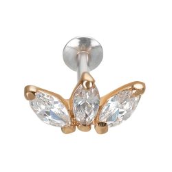 Silber-Ohrpiercing