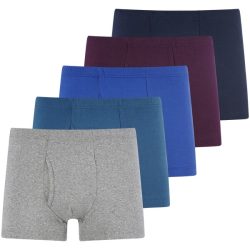 5er Pack Retropants GARDAR blau