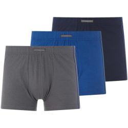 3er Pack Retropants KINTAN blau grau