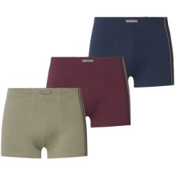 3er Pack Retropants KINTAN oliv dunkelrot