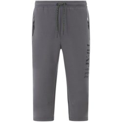 Jogginghose ALFVALD grau