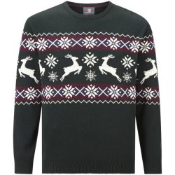 Pullover TORE grün
