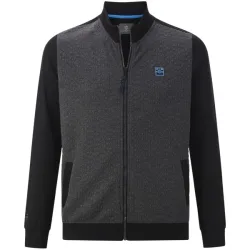 Sweatjacke LARSHEIM grau