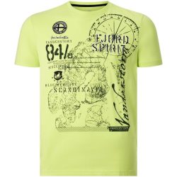 T-Shirt DOMINIK hellgrün