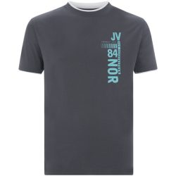T-Shirt FLEMMING dunkelgrau