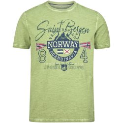 T-Shirt HELGO grün